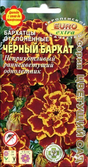 Бархатцы Черный бархат низкорослые 0,1г (Аэлита Экстра)
