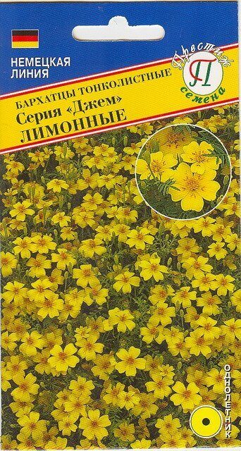 Бархатцы Джем Лимонные тонколистные однолетник 10шт (Престиж)