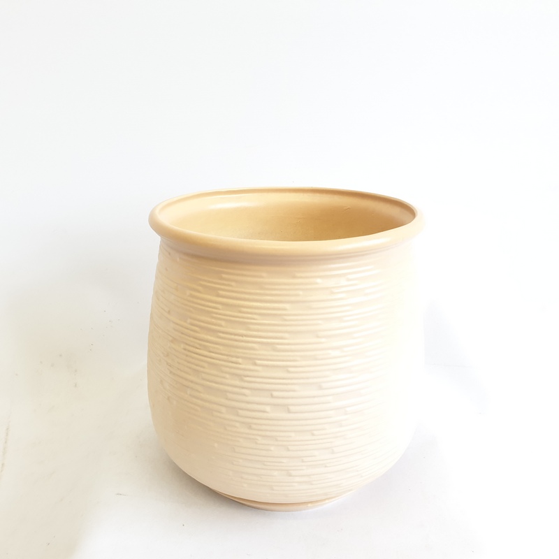 Анталия №2 6л (в.21 д.22,3) (В)