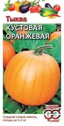 Тыква Кустовая оранжевая 1г (Гавриш)
