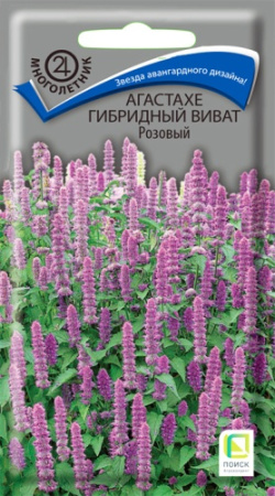 Агастахе Виват розовый многолетник 10шт (Поиск)