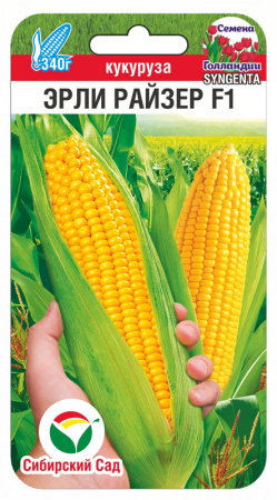 Кукуруза Эрли Райзер 5шт (Сиб Сад)