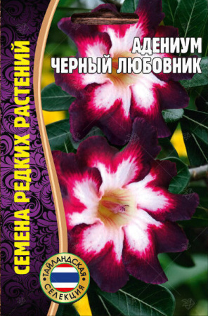 Адениум Черный любовник 3шт (Ред.Сем)