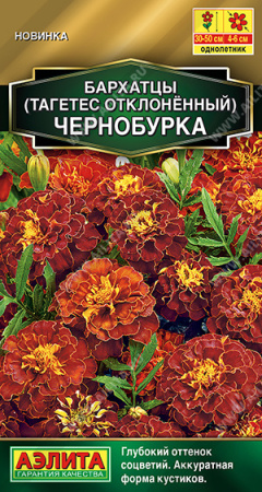 Бархатцы Чернобурка однолетник 0,3г (Аэлита)