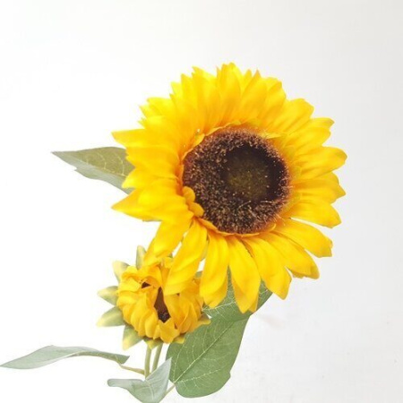 Цветы SB9122-6 Подсолнух (Сиб Сад)(48шт) 