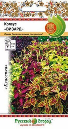Колеус Визард смесь 10шт (НК)