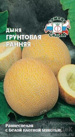 Дыня Грунтовая ранняя 0,5г (Седек)
