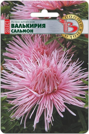 Астра ВАЛЬКИРИЯ Селект Сальмон 30шт (Биотехника)