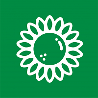 Подсолнечники