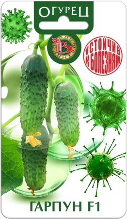 Огурец Гарпун F1 12шт (Биотехника)