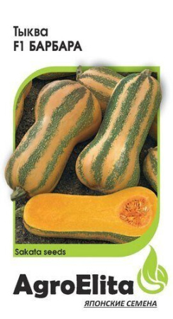 Тыква Барбара F1 мускатная 5шт (Агроэлита)
