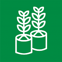 Посадочный материал