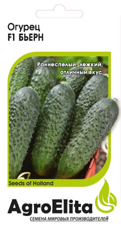 Огурец Бьерн F1 5шт (Агроэлита)