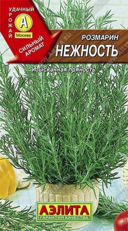 Розмарин Нежность 20шт (Аэлита)