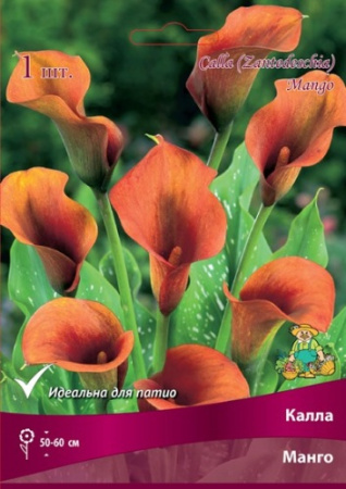 Калла Манго 14/16 1шт (Поиск)