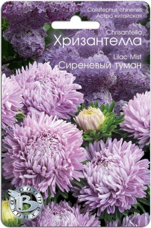Астра ХРИЗАНТЕЛЛА Сиреневый туман однолетник 30шт (Биотехника)