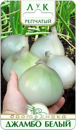 Лук репчатый Джамбо Белый 0,5г (Биотехника)