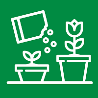 Удобрения для комнатных садовых и балконных цветов