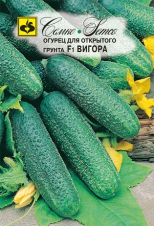 Огурец Вигора F1 0,5г (Семко)