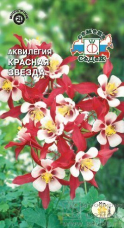 Аквилегия Красная звезда многолетник 0,05г (Седек)